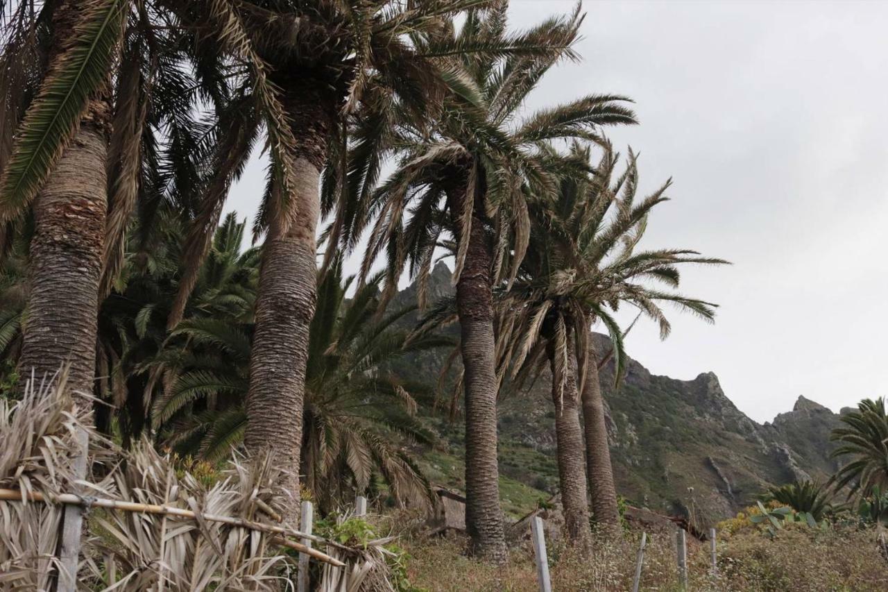 Oasis Atlantico: Rincon Secreto Al Pie De Los Senderos Azano Extérieur photo